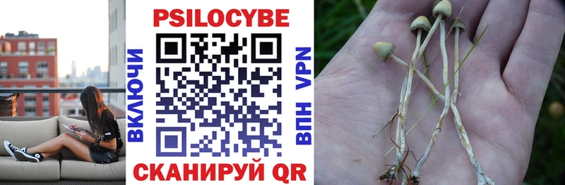 Купить закладки  Валдай  Псилоцибиновые грибы мухоморы 