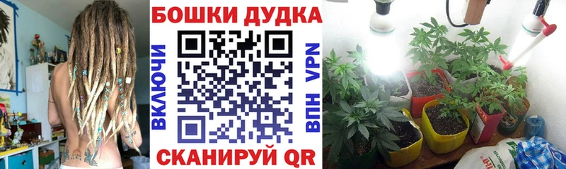 Купить  Валдай  Марихуана планчик 